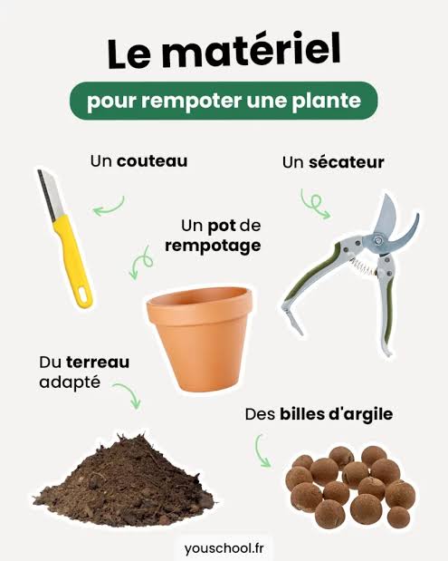 c'est une affiche  qui montre les malterie qu'on doit utilise pour remporter une plante . Sa nous donner une idée  des matériels qu'on doit avoir pour les personnes qui veulent faire un rempoter .   