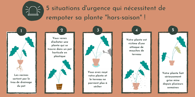 C'est un schéma  qui nous aides en, car d'urgence pendant les période de hors saison . Elle sert a nous aide comme sauver notre plante . 